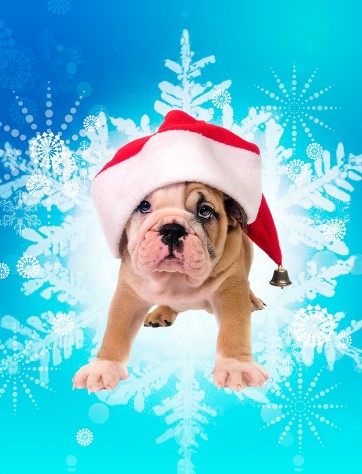 Isn't he CUTE!!! Or i THINK its a he.